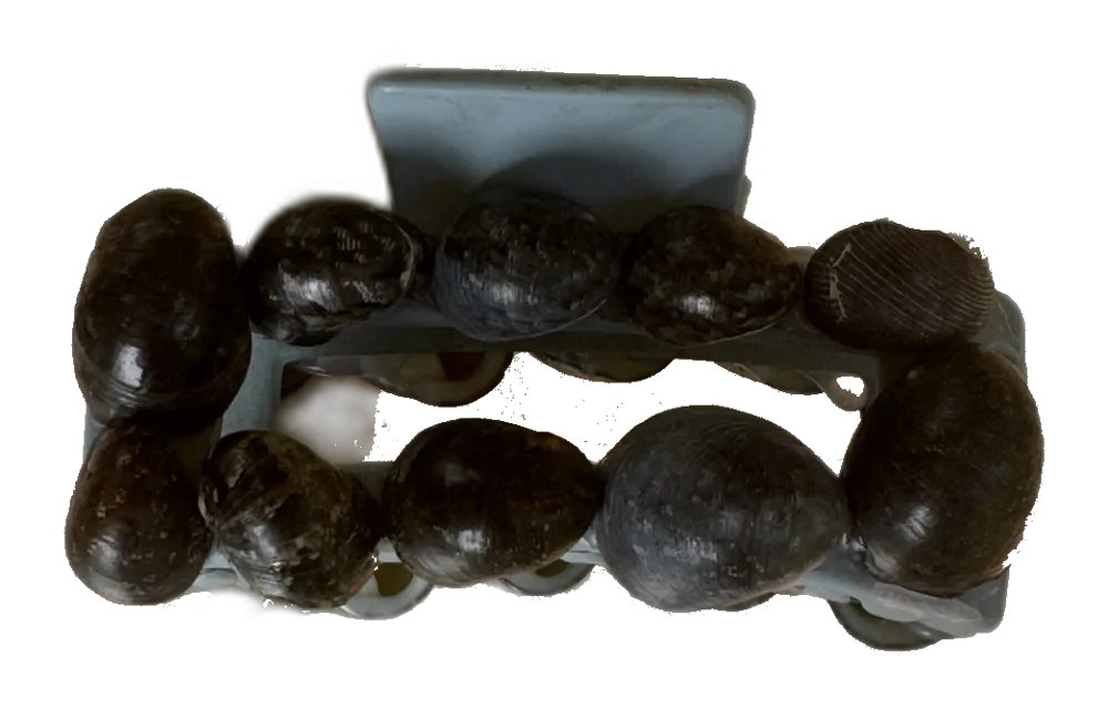 Powder blue claw clip with kūpeʻe shells