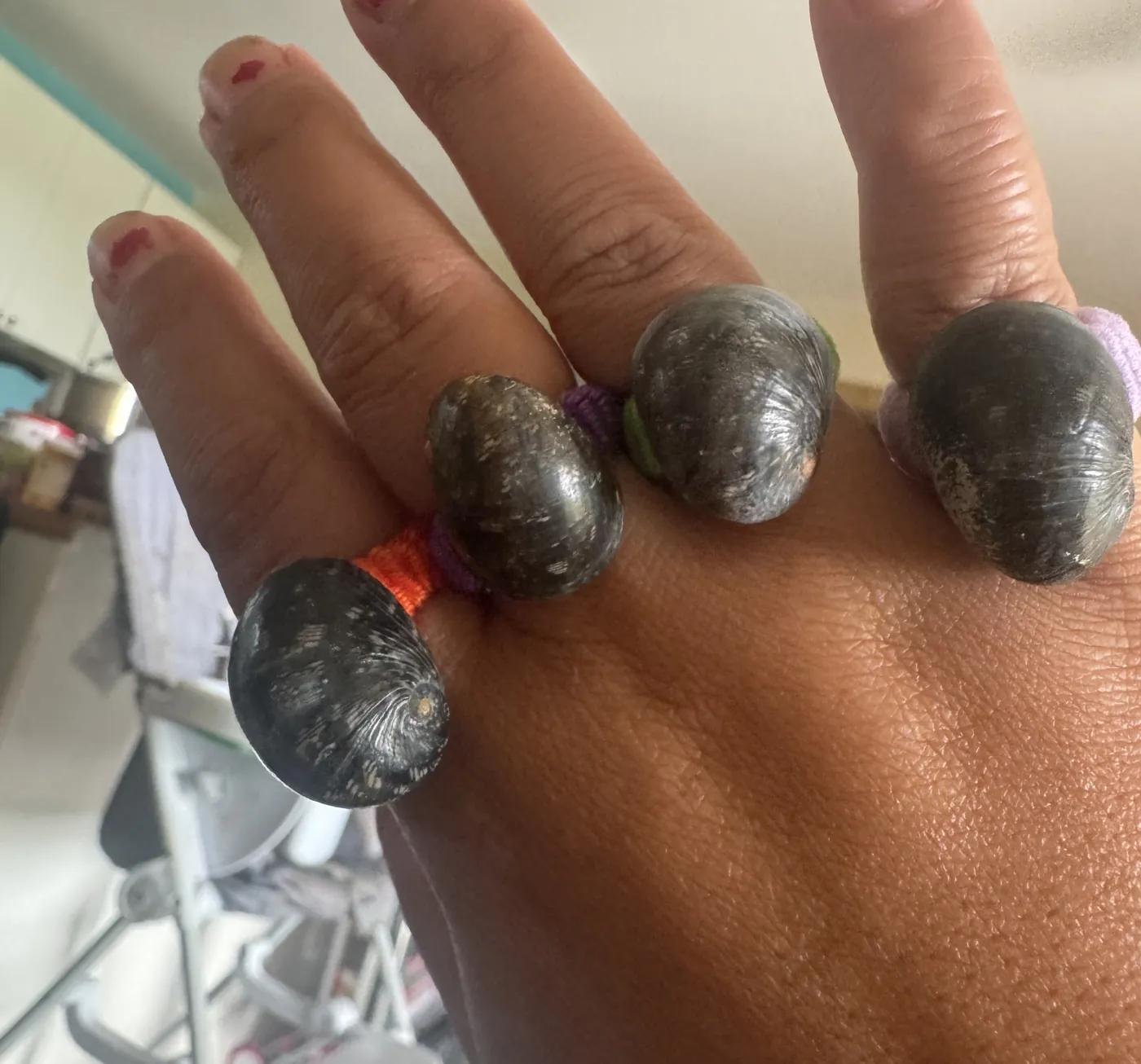 Three kūpeʻe shell rings worn on one hand